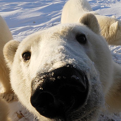 whatisthenameth's profile picture. 