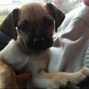 Mary Beth Grimes - @18mbg - Twitter