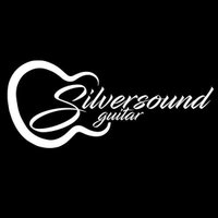 Silversound Guitar(@silversoundgtr) 's Twitter Profile Photo