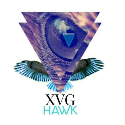 Hawk Flying High, looking for some Crypto prey.
💥I do not giveaway free #ETH so don't fall for it 😉💥
