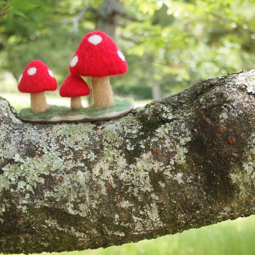 S3h__hiromi's profile picture. 