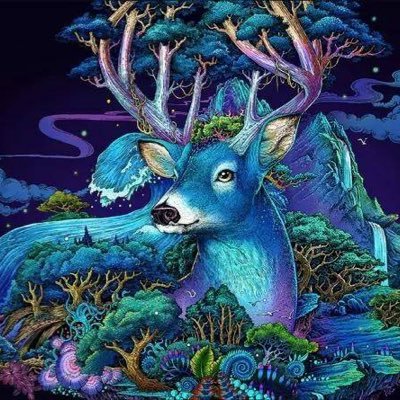 laomin13's profile picture. 