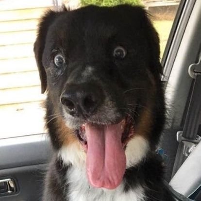 MikeBauhof's profile picture. I'm a dad and digital media dude.