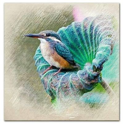 m_raazmi's profile picture. 