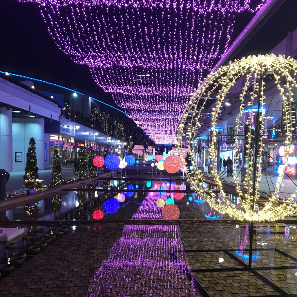 sirosouma's profile picture. 取引垢です。多趣味