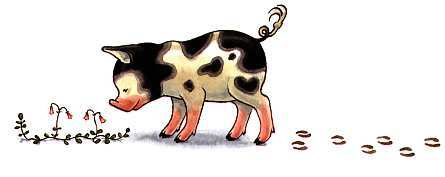 BurrenFreeRange's profile picture. I live in the Beautiful #Burren. Rearing happy #Eco Free Range Pigs for our award winning products! Stay at @glampingburren our latest venture! Tweets by Eva