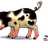BurrenFreeRange's profile image