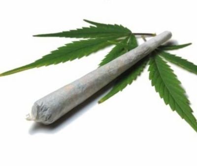The Mixed Martial Arts musings of a stoner Aussie 🥋🥊
I promise to only post while high.