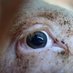 Saving Me (@savingmevegan) Twitter profile photo Saving Me (@savingmevegan) Twitter profile photo