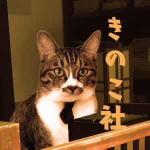 きのこ社 (@kinokosya) / X