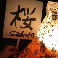 桜座のカフェ (@maritatsu) 's Twitter Profile Photo 桜座のカフェ (@maritatsu) 's Twitter Profile Photo