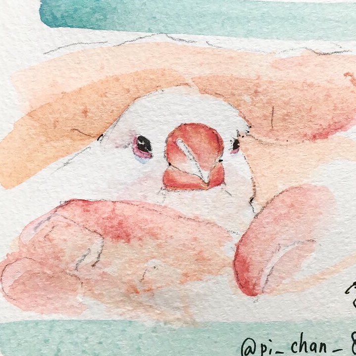 ぴーちゃん𓅪さんのプロフィール画像