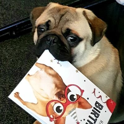 Lipsy19721's profile picture. Just us