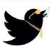 $AVAGE HUMOR ๐ (@savagehumor_) Twitter profile photo $AVAGE HUMOR ๐ (@savagehumor_) Twitter profile photo