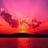 jack_chen521's profile image