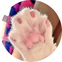 またたび (@matatabi_70) Twitter profile photo
