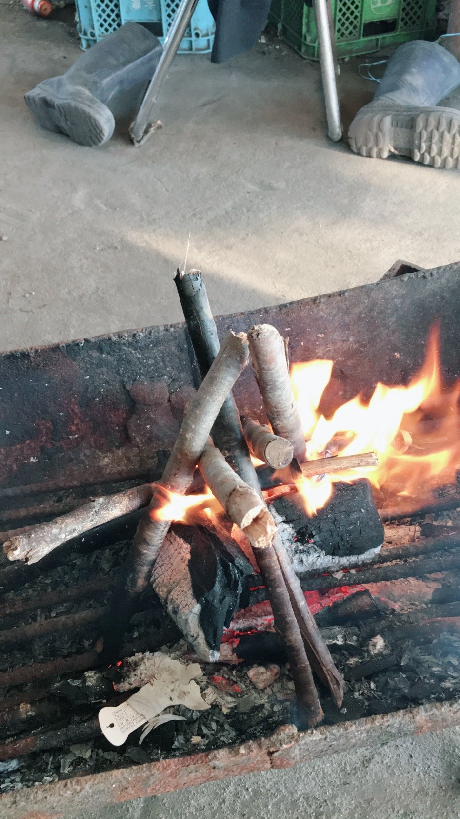 peace7tree's profile picture. 裏垢てきな？？
とりあえず、つぶやいたりぼやいたり。