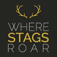 wherestagsroar(@wherestagsroar) 's Twitter Profile Photo