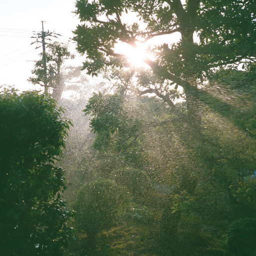 smilingedits's profile picture. forgot how to edit