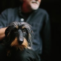 Gregory J Fleet (@drfleet) 's Twitter Profile