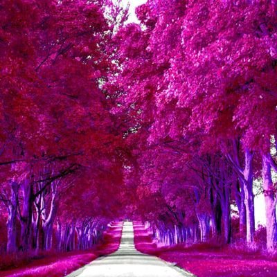 AlkaVishwakarm9's profile picture. Av