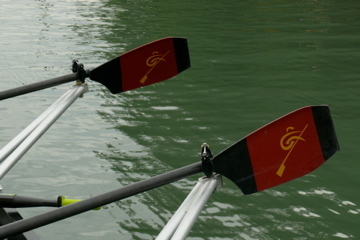Guelph_Rowing's profile picture. 