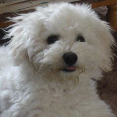 fenlon59's profile picture. 