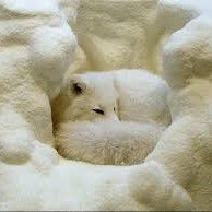 amourdemavie95's profile picture. @jeremstar❣️ et @cyrilschreiner❣️