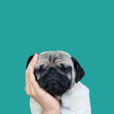 CurlyLesterific's profile picture. Leo 🦁 I'm actually a funny person when you get to know me and that's why I get along with people with my wit and humor.


I like Phat Asses 😉