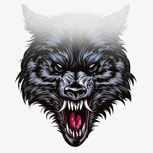 متجر ويروولف بالعربية للطلب او الاستفسار بالخاص e-mail: Werewolf_Arabic@outlook.com. https://t.co/nKbkMm7Evn 0564848936 , whats app