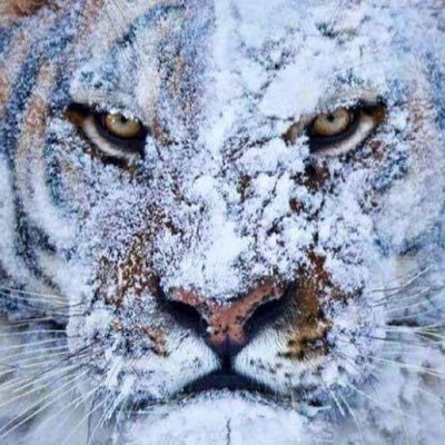 flash1e's profile picture. 