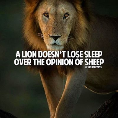 prateek27856812's profile picture. 