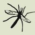 Cranefly Recording Scheme (@CRStipula) Twitter profile photo