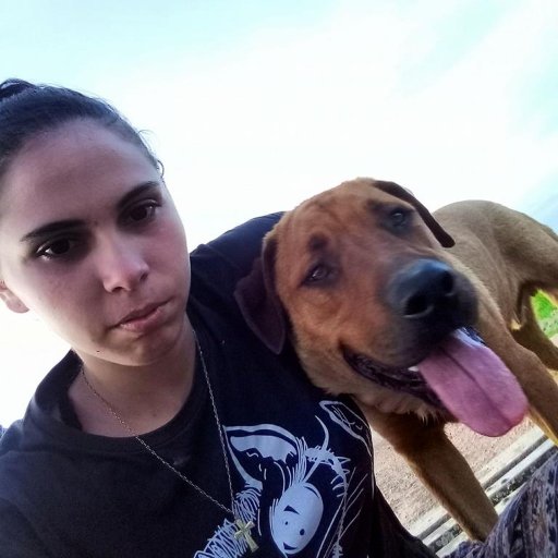 sandygallo8's profile picture. Si es amor no necesita explicaciones, que gane siempre en cualquiera de sus formas. 🌈🎸