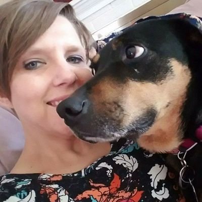 Dogs. I like dogs.