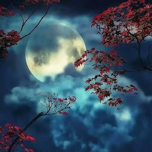 خيرٌ لكِ وأبقى:. سُبحان الله،الحمدُلله،لاإِله إِلاالله،اللهُ أكبر.