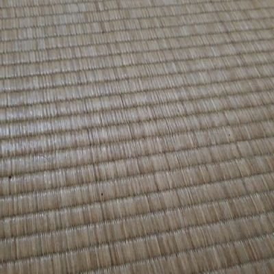 zxczxccxzzxc's profile picture. 