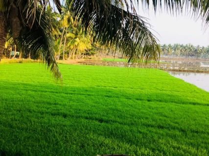 vijay42007679's profile picture. 