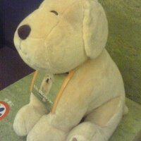 🏡🐶チャーシューワンタン (🔰🎣SH 9回 0匹 ; 小イシモチ3匹 タコ1匹) (@q_trance) 's Twitter Profile Photo
