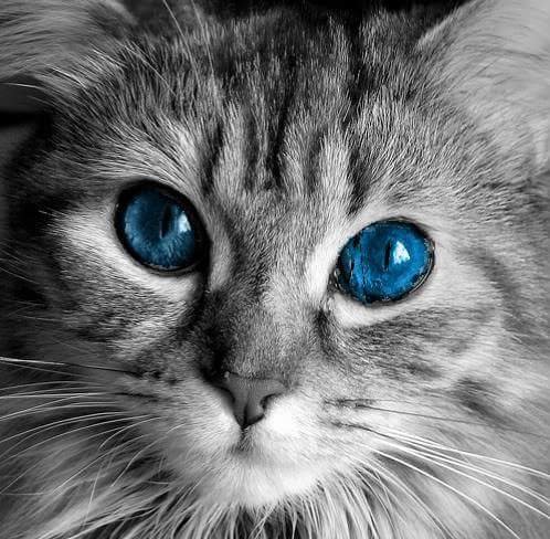 LauraSm85818070's profile picture. 