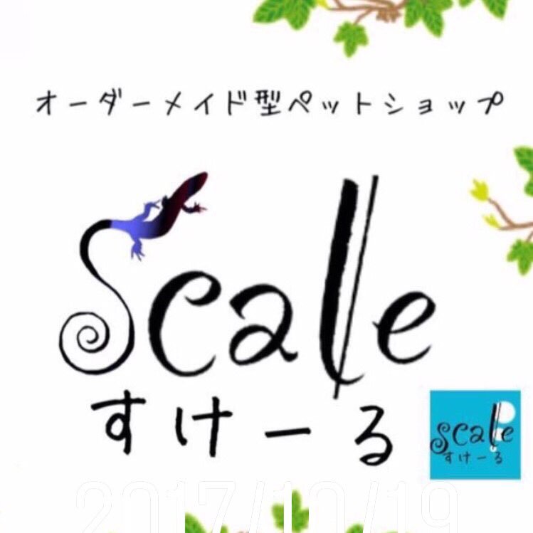 scale58587322's profile picture. 徳島県の爬虫類メインのペットショップです!御来店の際はお手数お掛けしますが必ずお問い合わせをお願いします!お問い合わせ等は24時間!お気軽に😆 公式LINE→@nba9214q Instagram→scale.0725 グッズ等はCLINESSIC→ https://t.co/7B0V95a5sp