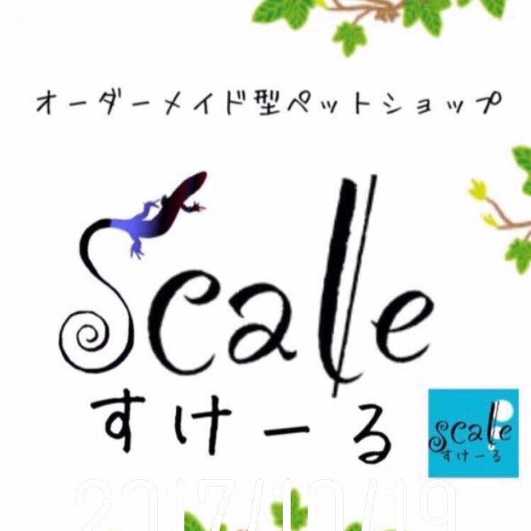 徳島県の爬虫類メインのペットショップです!御来店の際はお手数お掛けしますが必ずお問い合わせをお願いします!お問い合わせ等は24時間!お気軽に😆 公式LINE→@nba9214q Instagram→scale.0725 グッズ等はCLINESSIC→ https://t.co/7B0V95a5sp