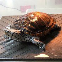 レプティスタジオ (@reptimk) 's Twitter Profile