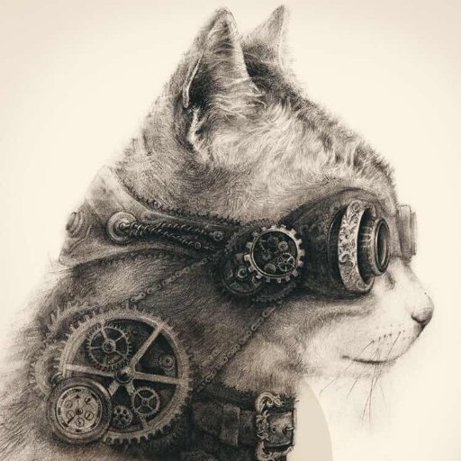 rmiaocai's profile picture. 🤡🤡🤡