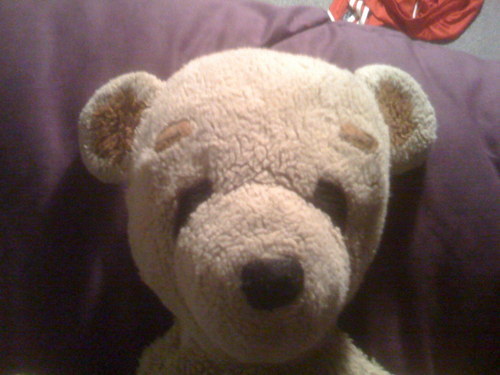 TheodoreBeare's profile picture. Whn my peepl arr owt I tweet mi lyf. I m fluffy. I m sweeet. I luvMetalika. I hate th kats. I folIo bak nd wull eet anytheng yu leev owt- RT wen I mak yu laff -