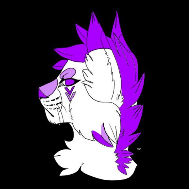 Howdy! Welcome to my page! can I get you a cup of tea? maybe something sweet to eat as you look over my small account? is a lynx ;3 also a major gearhead!