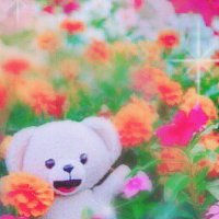 りんご (@e5juv) 's Twitter Profile