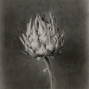つくば絵画会　つくば市の絵画教室ですさんのプロフィール画像