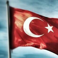 tahaerbey1's profile picture. 