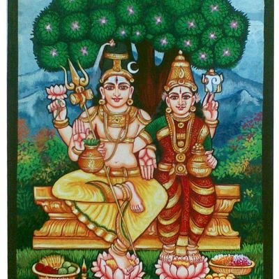 Sobana20556002's profile picture. 